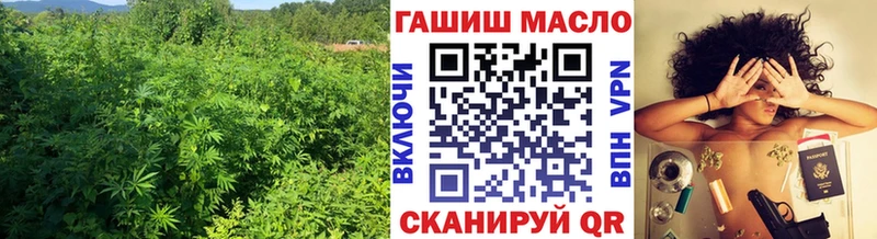 цена наркотик Сунжа Дистиллят ТГК вейп с тгк