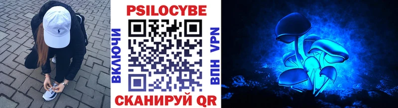 Псилоцибиновые грибы GOLDEN TEACHER  закладки  Сунжа 